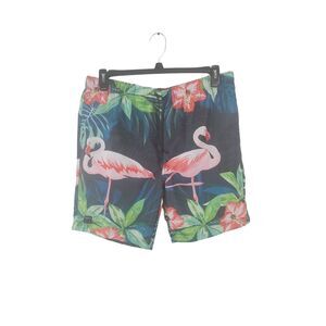 Brooklyn Cloth Swim Trunks Large Mens Flamingo Print Multicolor Mesh Lined Pocke